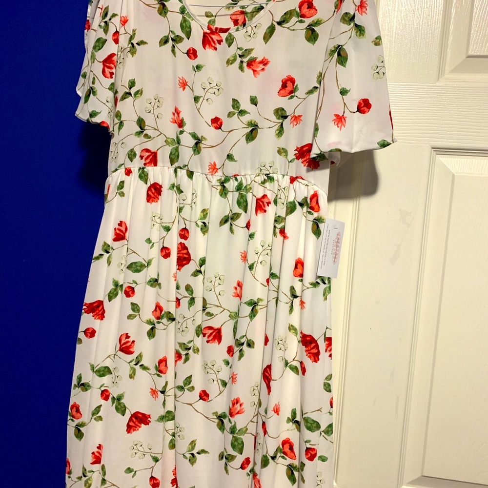 Modest dress